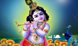 श्रीकृष्ण जन्माष्टमी आज, देशभर पूजा-आराधना गरी  मनाइँदै