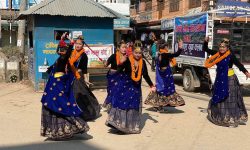 मौलिक देउसीभैलो हराउँदै