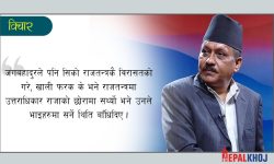 इतिहासका डोबहरू !