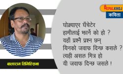 प्रश्नै प्रश्न छन् !