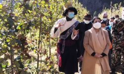 ‘जलवायु परिवर्तनका कारकतत्वको न्यूनीकरणमा सबै सचेत हुनुपर्छ’