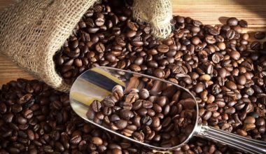 कफीका दाना बिक्री नभएपछि प्रशोधन गरिँदै