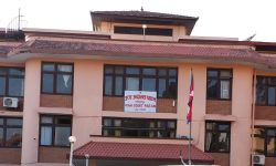 स्वास्थ्य प्रतिष्ठान कर्णालीका उपकुलपतिलाई काममा रोक नलगाउनू : पाटन उच्च अदालत