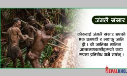 रोग सर्ने त्रास, जंगलमा बस्नेसँग भेट्नै प्रतिबन्ध