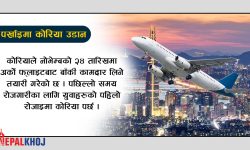 जान पाउलान् त कामदार कोरिया ?