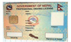 खुलेको २ दिनमै बन्द भयो चालक अनुमतिपत्रको अनलाइन फाराम
