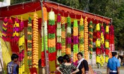 सयपत्री र मखमली फूलको अभाव, कृत्रिम फूलको माग बढ्दै