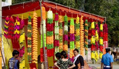 सयपत्री र मखमली फूलको अभाव, कृत्रिम फूलको माग बढ्दै