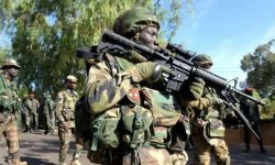 नाइजेरियामा १५ बन्दुकधारीको मृत्यु