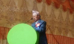 ‘नेपाल संवत्‌लाई मौलिक संवत्‌का रूपमा प्रवर्द्धन गर्नुपर्छ’