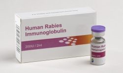 सातै प्रदेशमा रेबिज इम्युनो ग्लोबुलिन सेवा सञ्चालन गरिने