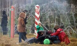 ‘बेलारुस आप्रवासी संकटको मुख्य योजनाकार पुटिन हो’