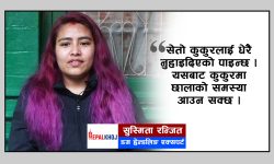 ‘डग इज अ बुक’