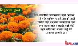 साढे १८ लाख माला खपत हुने अनुमान