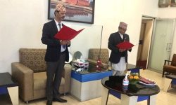 सानिमाको अध्यक्षमा पौडेल नियुक्त