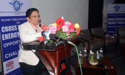 ऊर्जा कूटनीति नै निर्णायक : ऊर्जामन्त्री