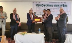 ‘बजारमा चल्ने हल्लाका पछाडि नपरी पुँजी बजारमा लगानी गरौं’