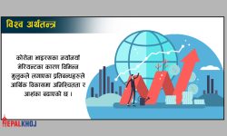 कोरोना महामारीमा फसेको विश्व अर्थतन्त्रले सन् २०२२ मा पुनर्जीवन लेला ?