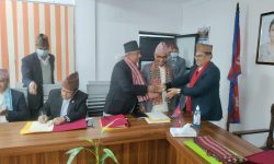 वाग्मती प्रदेश निति तथा योजना आयोगको उपाध्यक्षमा पन्त