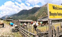 ‘चिसो बढेपछि ढोरपाटनमा बस्नै सकिँदैन’