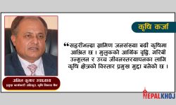 ‘आधुनिक कृषिको विकास गर्न वित्तीय साक्षरता आवश्यक’