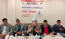 ‘पार्टीलाई विधि र पद्धतिमा हिँडाउन योगदान दिन्छु’