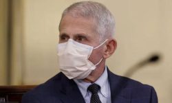 क्रिसमसका बेला हुने यात्राले नयाँ भेरियन्ट फैलाउने अमेरिकी विज्ञको चेतावनी