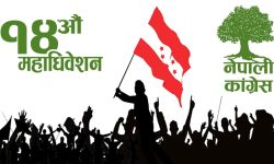 कांग्रेसको महाधिवेशन : गण्डकीको चुनावमा एक हजार १४६ मत खस्यो