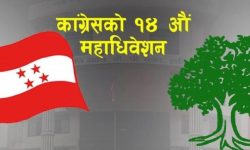 महाधिवेशन प्रतिनिधि भन्छन्  :  ‘दह्रो पार्टी बनाउन नयाँ पुस्तालाई नेतृत्व दिनुपर्छ’