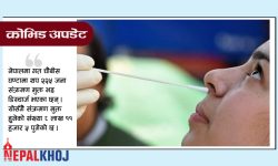 चौबीस घण्टामा २७१ संक्रमित थपिए, २२५ जना डिस्चार्ज