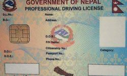 चितवनमा आजदेखि ‘स्मार्ट लाइसेन्स’ नवीकरण