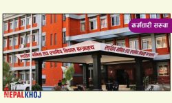 किन राेकियो स्थानीय तहका कर्मचारीको सरुवा ?