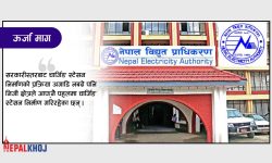 देशमा हरेक वर्ष २० प्रतिशतका दरले विद्युत्‌को माग बढ्दो