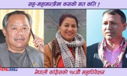 सह-महामन्त्रीमा मिश्रित परिणाम, दुई संस्थापन र एक शेखर पक्षका