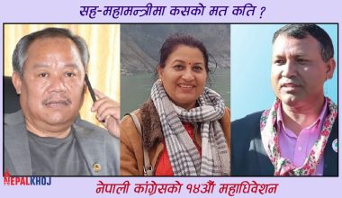 सह-महामन्त्रीमा मिश्रित परिणाम, दुई संस्थापन र एक शेखर पक्षका