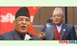 सुसंस्कृत र भव्य प्रचण्ड भन्दै गौतमले गरे प्रशंसा