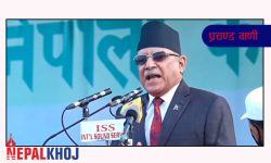 कोरोना कम नभएसम्म जनपरिचालनको जिम्मा प्रचण्डलाई