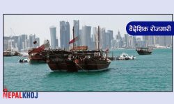 कतारमा आप्रवासी कामदारको तलब बढ्यो !