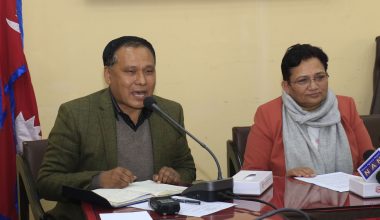 विद्युत् व्यापार कम्पनी खडा गर्ने सरकारको तयारी