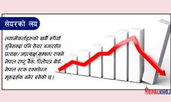 किन घट्दै छ, सेयर बजार ?