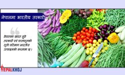 भारतबाट प्रत्येक दिन १० करोडको तरकारी आयात