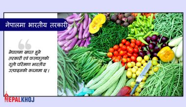 भारतबाट प्रत्येक दिन १० करोडको तरकारी आयात