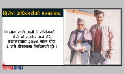 सम्झनै पर्ने एउटा महत्त्वपूर्ण नाम ‘अली मियाँ’ !