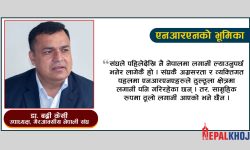 नेपालको अर्थतन्त्र पुनरुत्थानमा एनआरएनको भूमिका