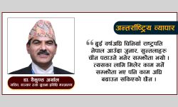 अन्तर्राष्ट्रिय व्यापारमा विविधीकरण : प्रतिफलको समीक्षा आवश्यक