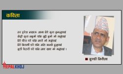 समाज र सामाजिकीकरण