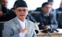 प्रधानन्यायाधीशको सम्पत्ति छानबिन गर्न माग