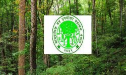 सामुदायिक वन उपाभोक्ता महासंघद्वारा आन्दोलनको घोषणा