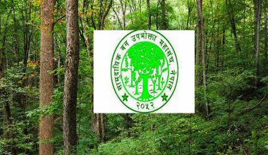 सामुदायिक वन उपाभोक्ता महासंघद्वारा आन्दोलनको घोषणा