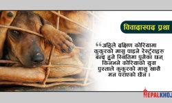 के दक्षिण कोरियामा कुकुरक‍ो मासुमाथि प्रतिबन्ध लगाइँदै छ ?